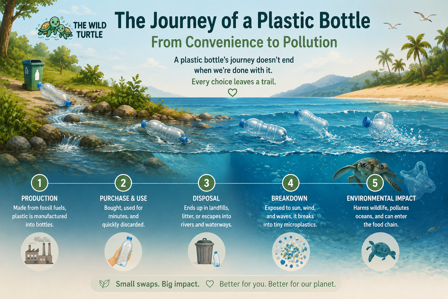 The Journey of a Plastic Bottle: From Convenience to Pollution