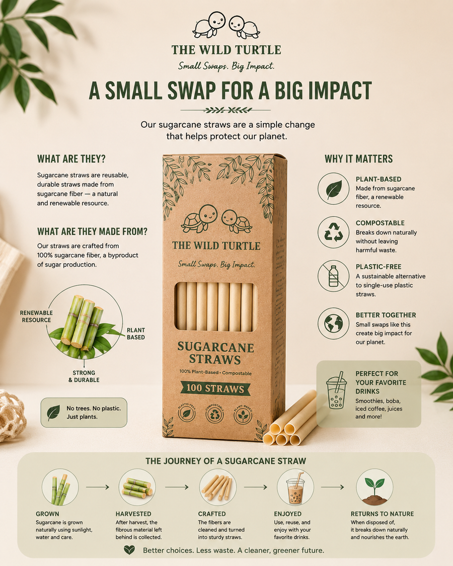 Sugarcane Straws — Compostable, No Soggy Paper Taste (100-Count)