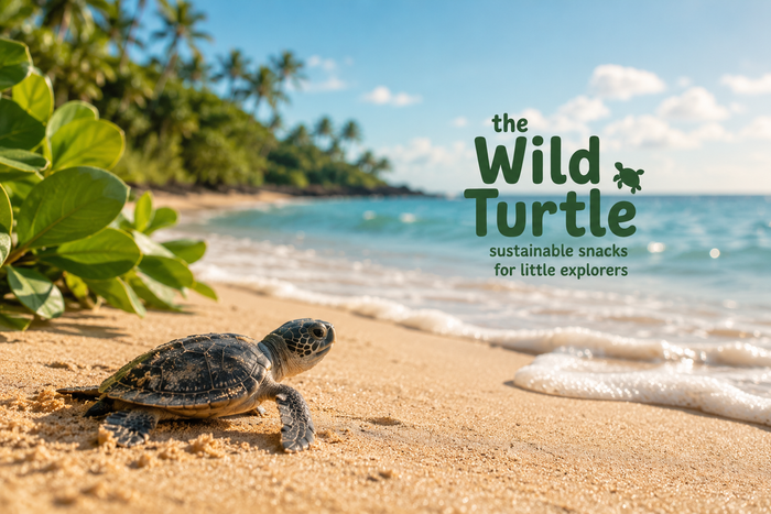 The Wild Turtle