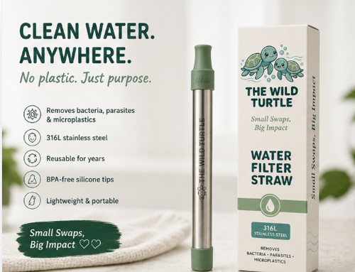 The Wild Turtle Stainless Steel Personal Water Filter Straw